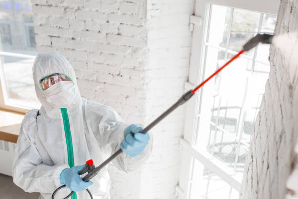 Best Mold Remediation for Healthcare Facilities  in Palmyra, NJ